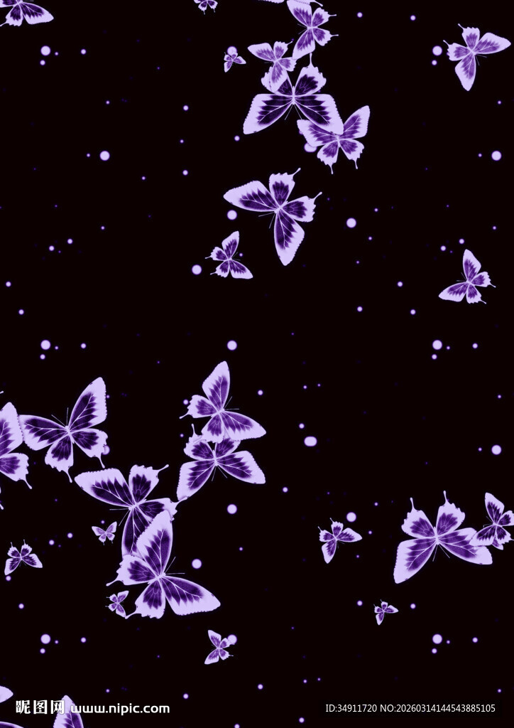 紫色蝴蝶在夜空飞舞