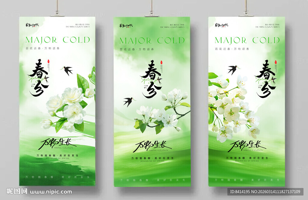 春分节气系列海报