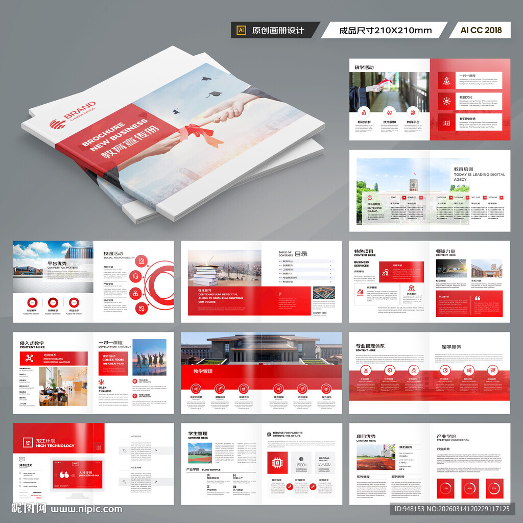 方形教育宣传册