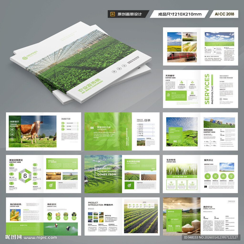 方形农产品宣传册