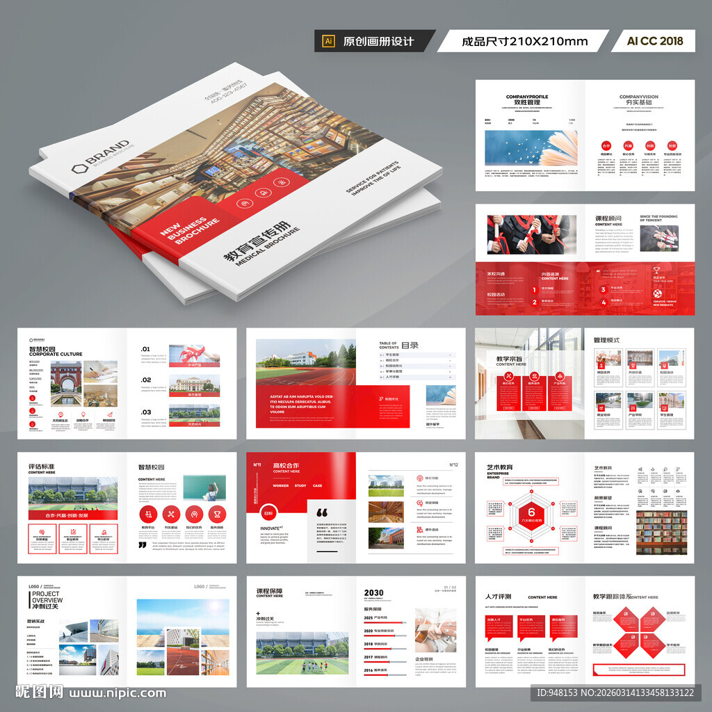 方形教育宣传册