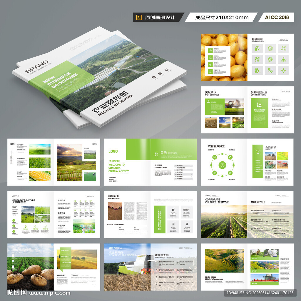 方形农产品宣传册
