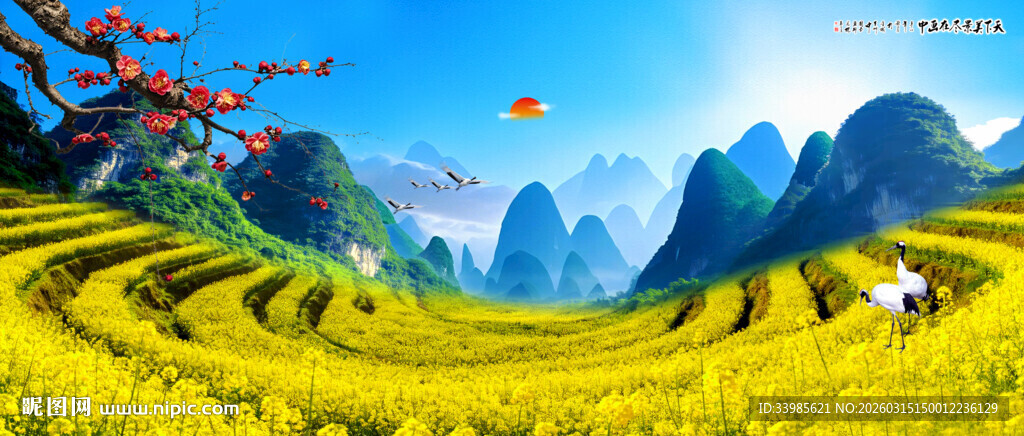 梯田稻田油菜花