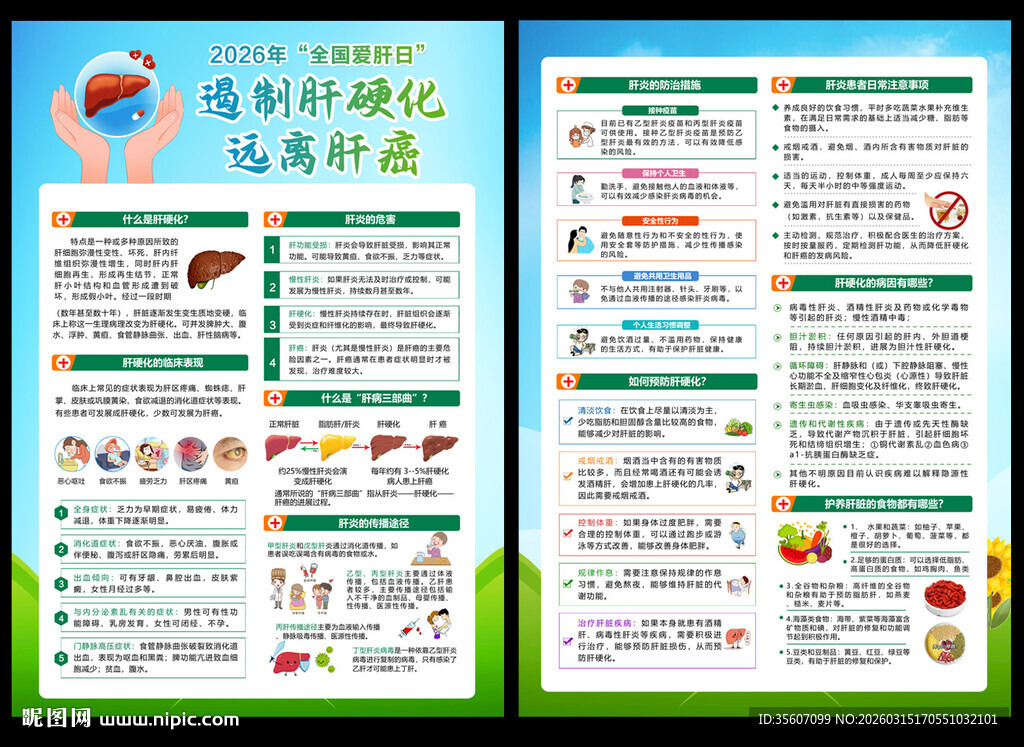 2026全国爱肝日宣传单
