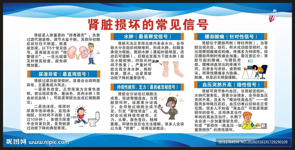 世界肾脏日宣传栏