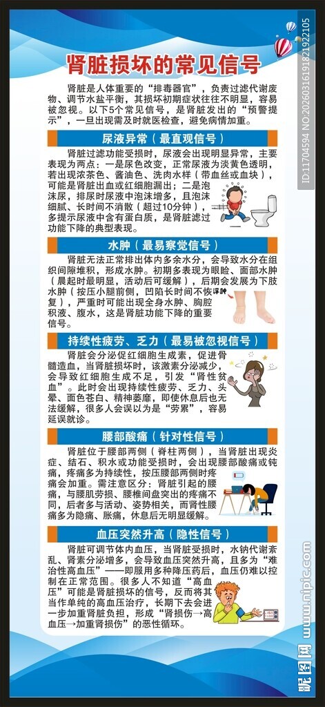 世界肾脏日展架