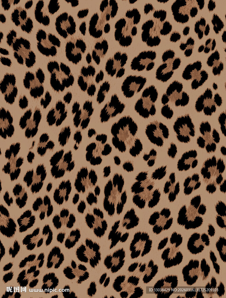 豹纹纹理图案