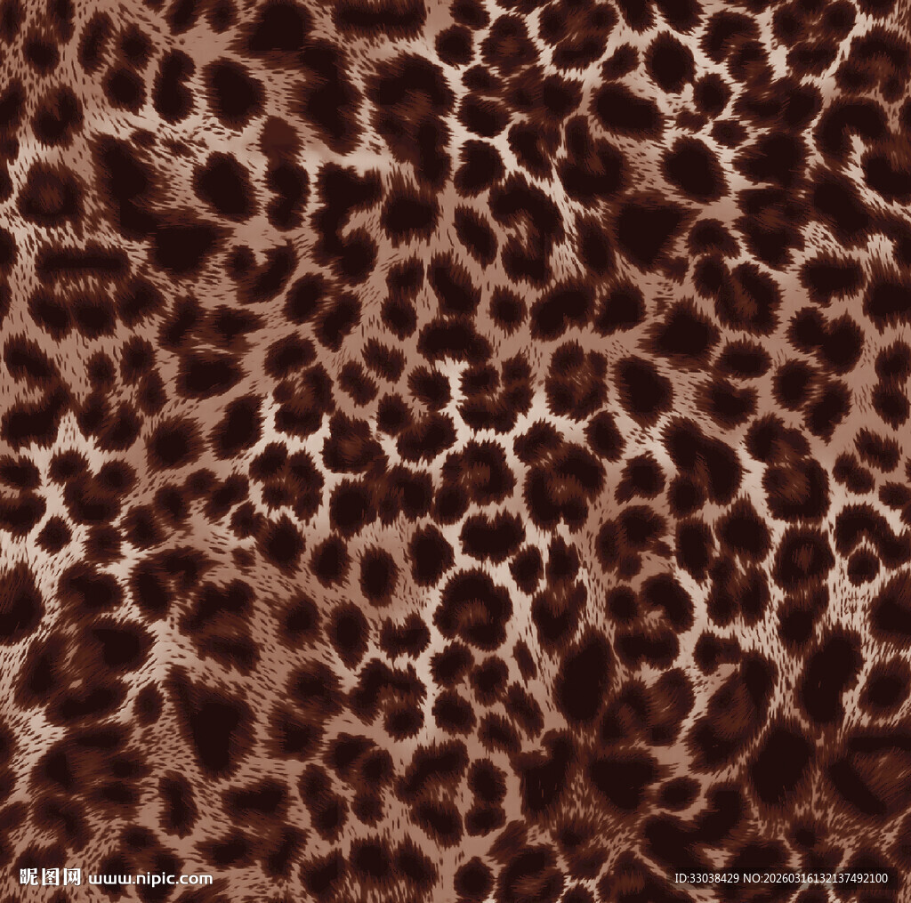 豹纹图案纹理素材