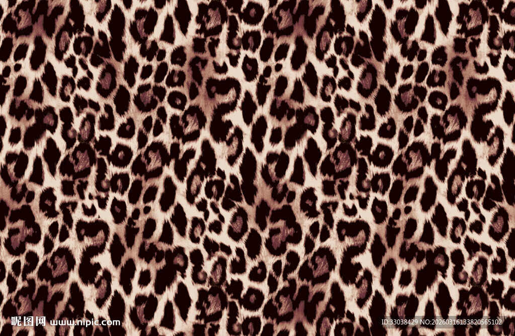 豹纹图案纹理