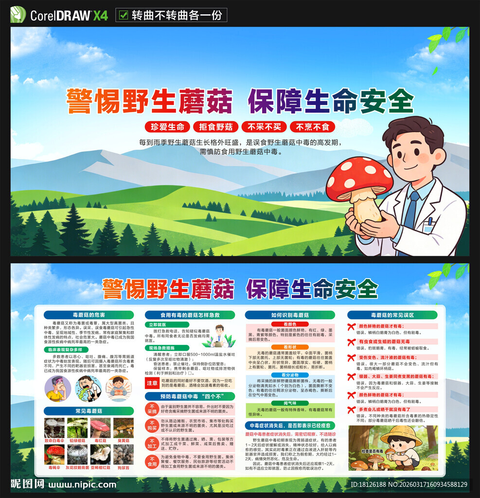 预防毒蘑菇中毒展板宣传栏