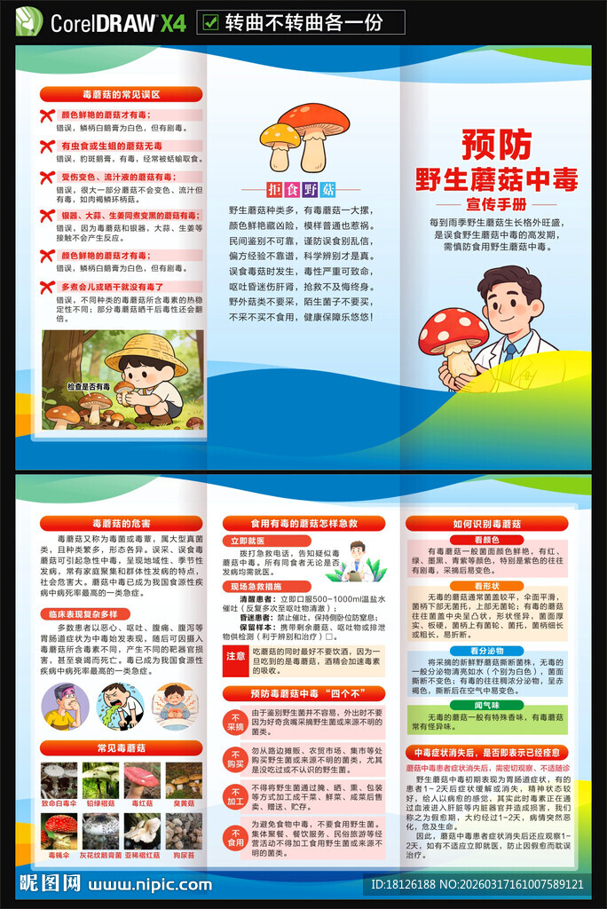 毒蘑菇野生菌中毒三折页