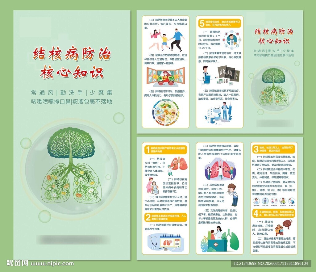 结核病防治三折页