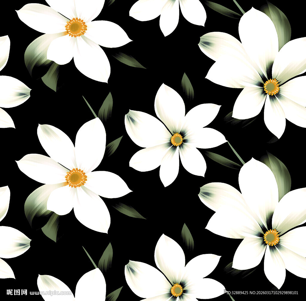 黑色背景上的白色花卉图案