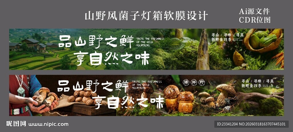 山野风菌子灯箱软膜设计