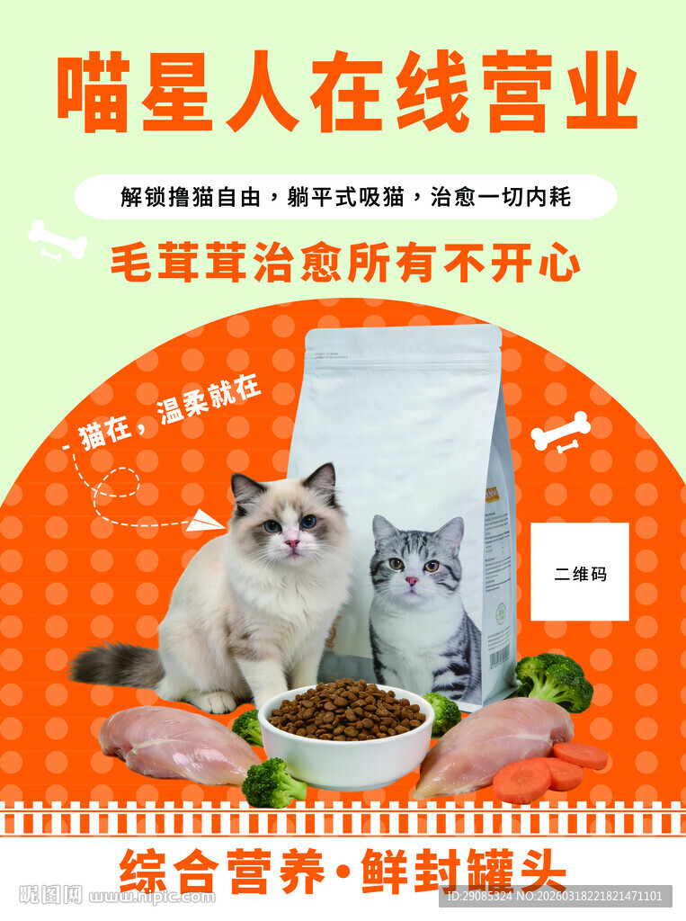 宠物特写治愈可爱猫咪海报