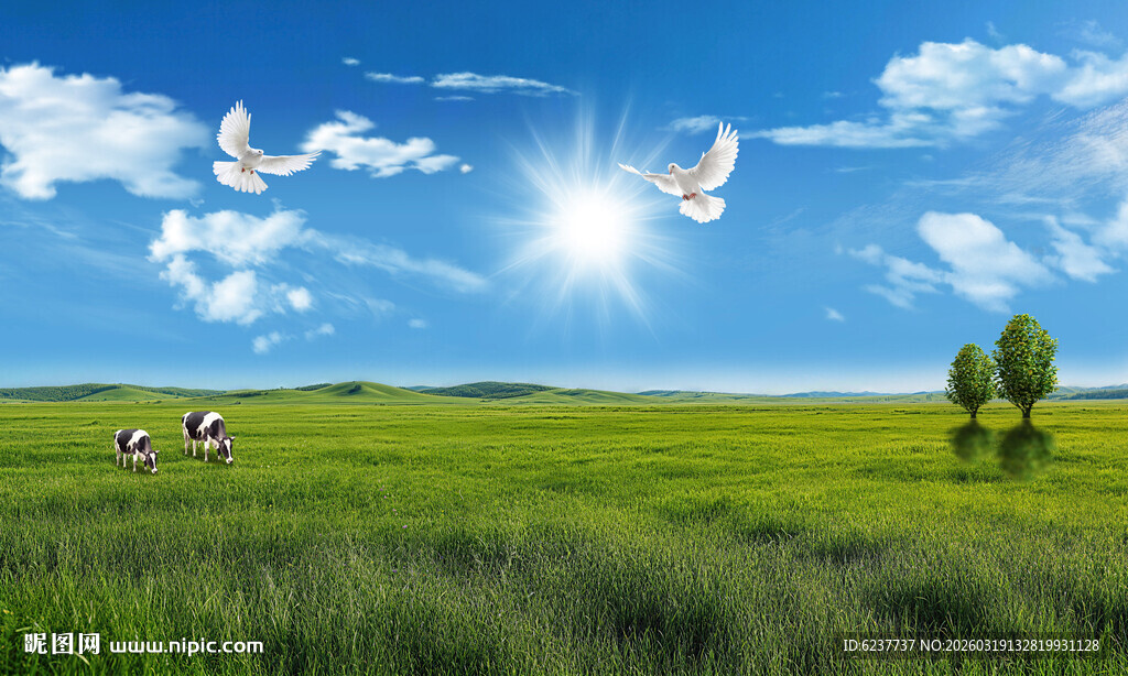 蓝天白云大草原