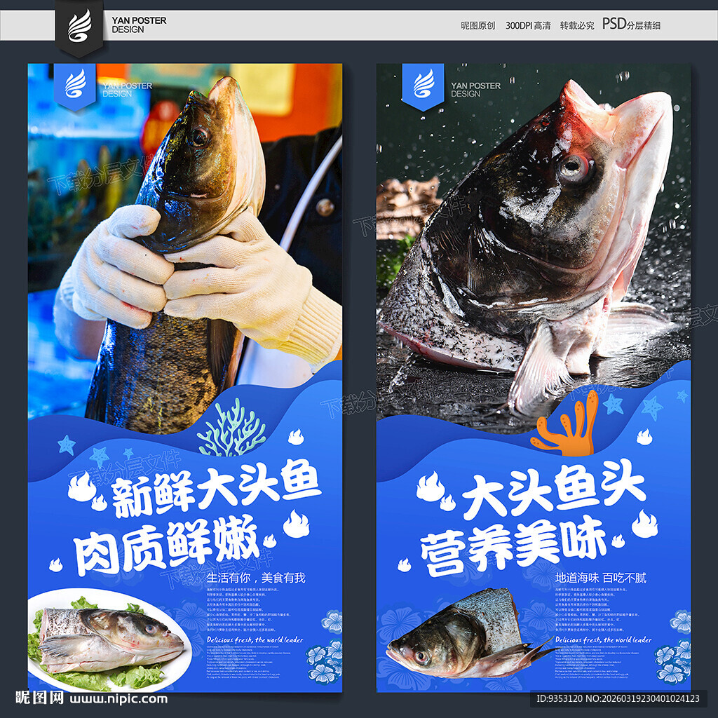 鱼头海报