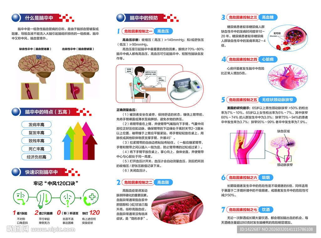 脑部健康科普信息图表