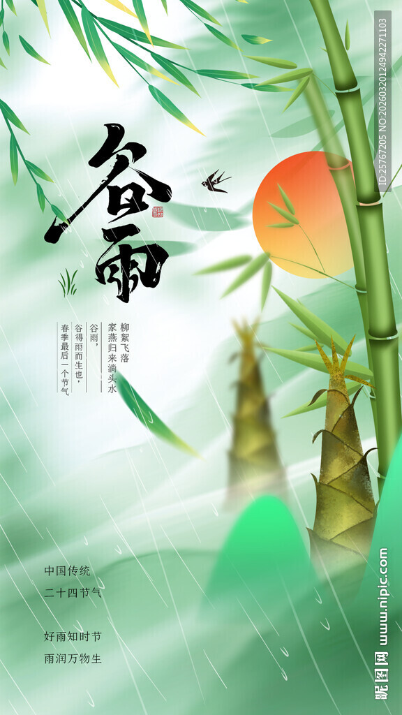 谷雨时节竹林清新景象