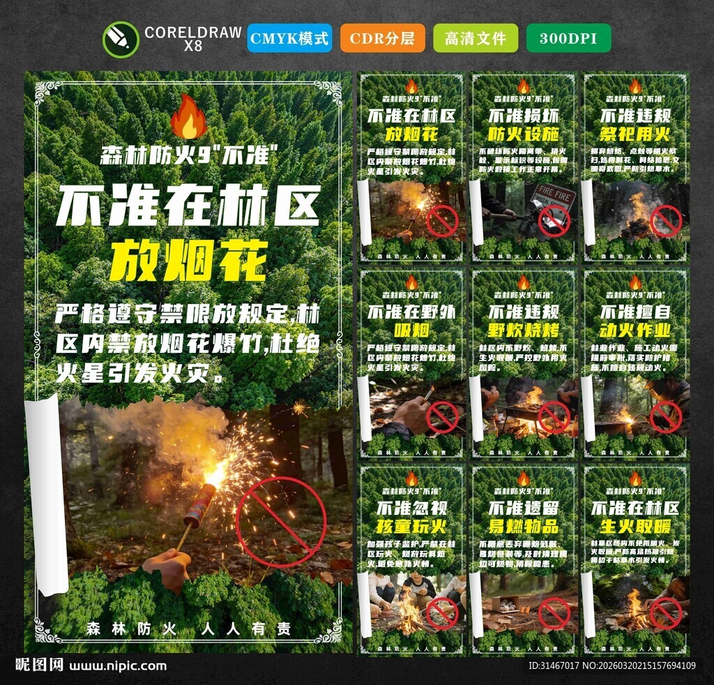 森林防火九不准