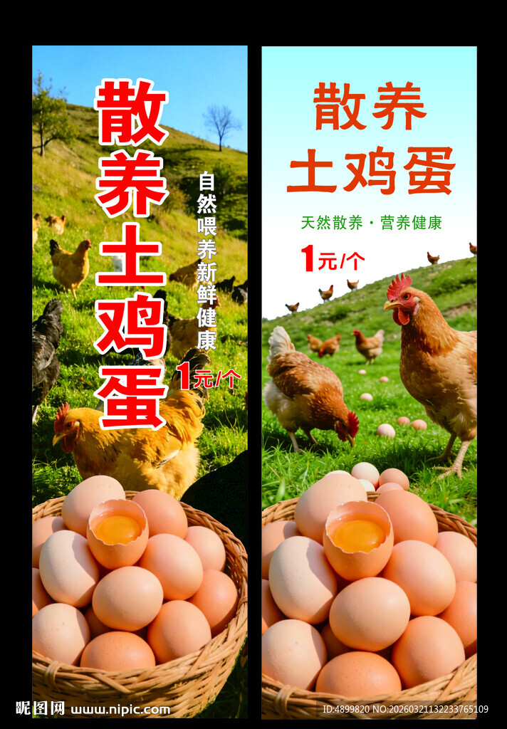 散养土鸡蛋  营养又健康