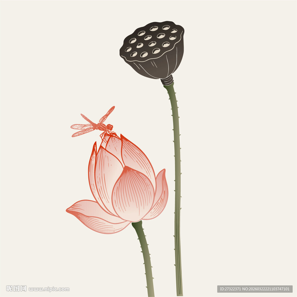 水墨风荷花蜻蜓插画