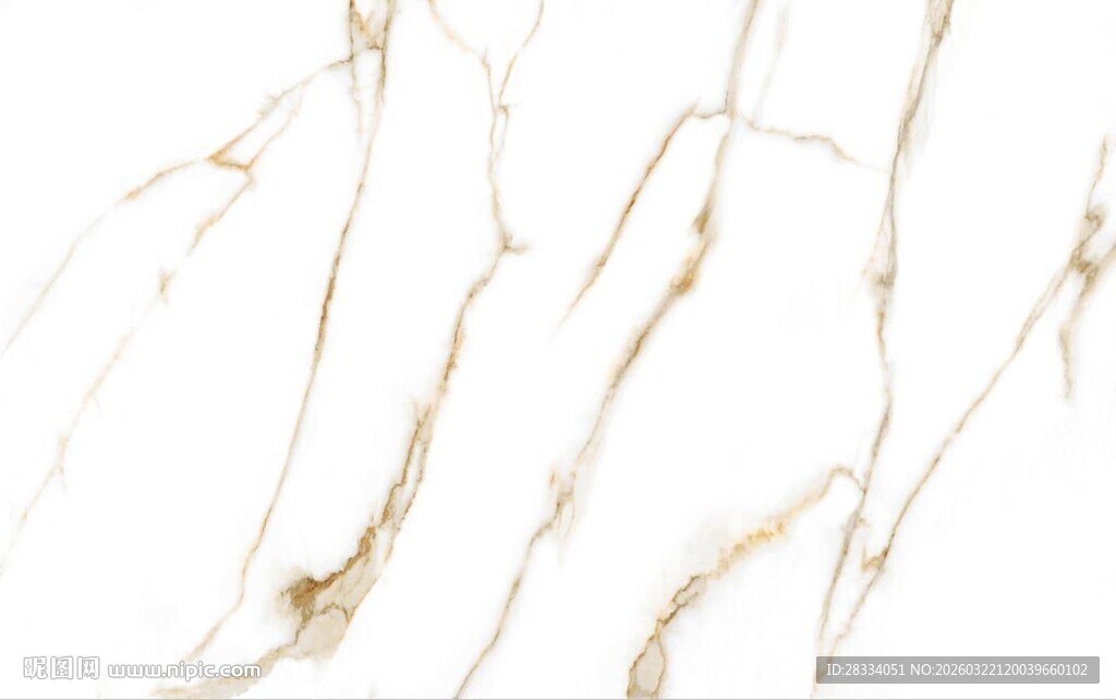 白色鱼肚金大理石石纹