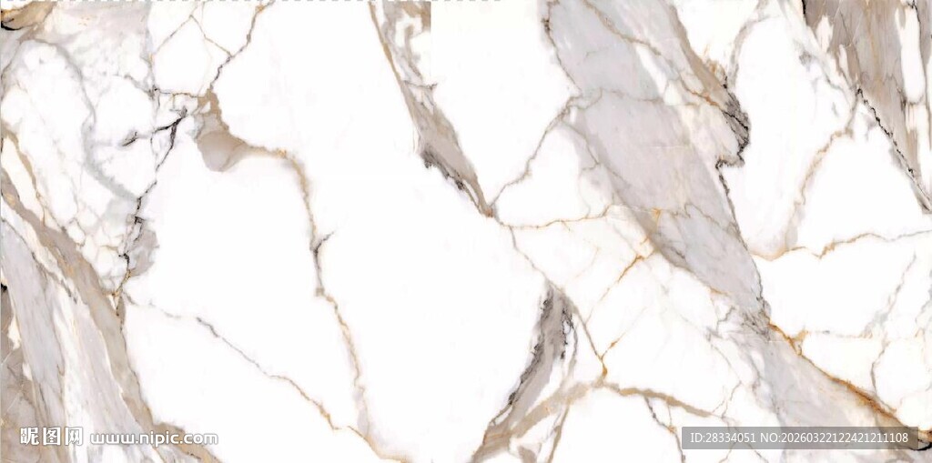 白色鱼肚金大理石石纹