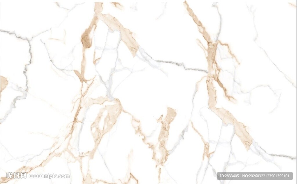 白色鱼肚金大理石石纹