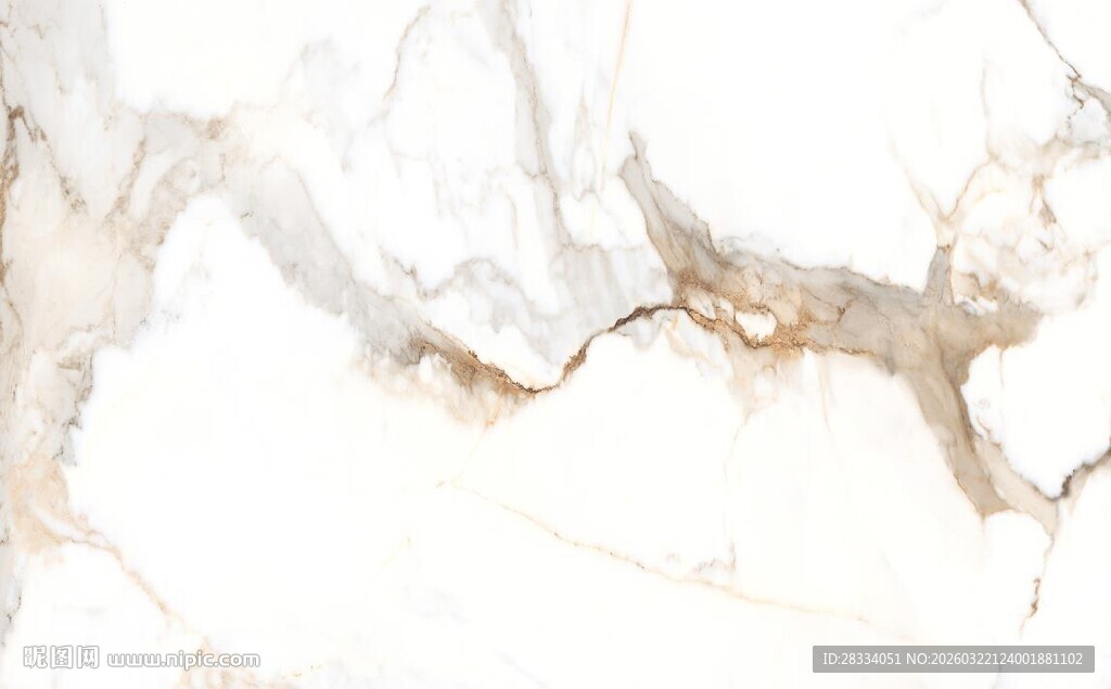 白色鱼肚金大理石石纹