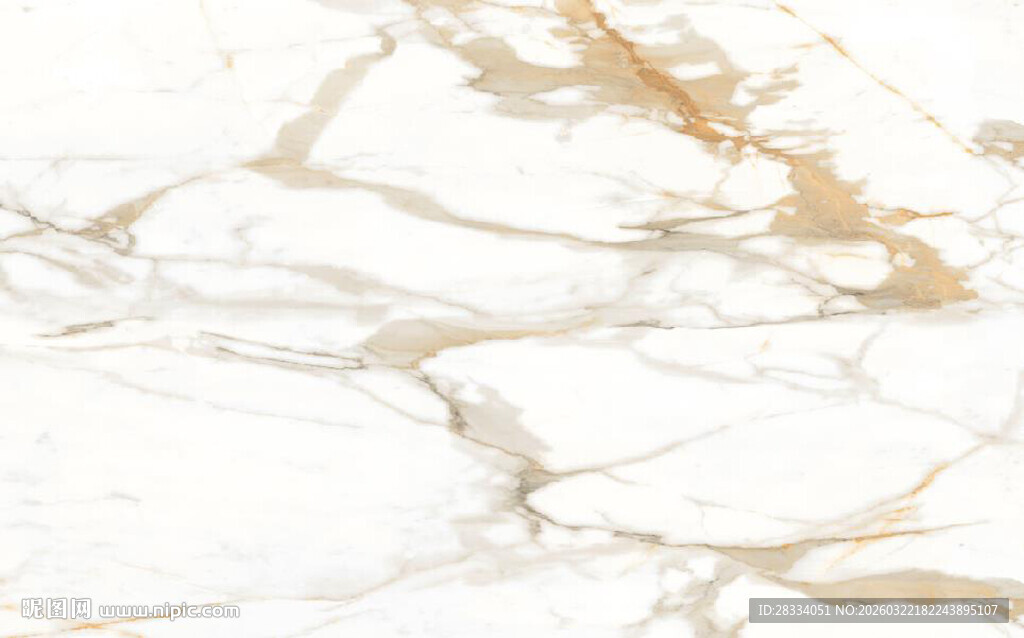 白色鱼肚金大理石石纹