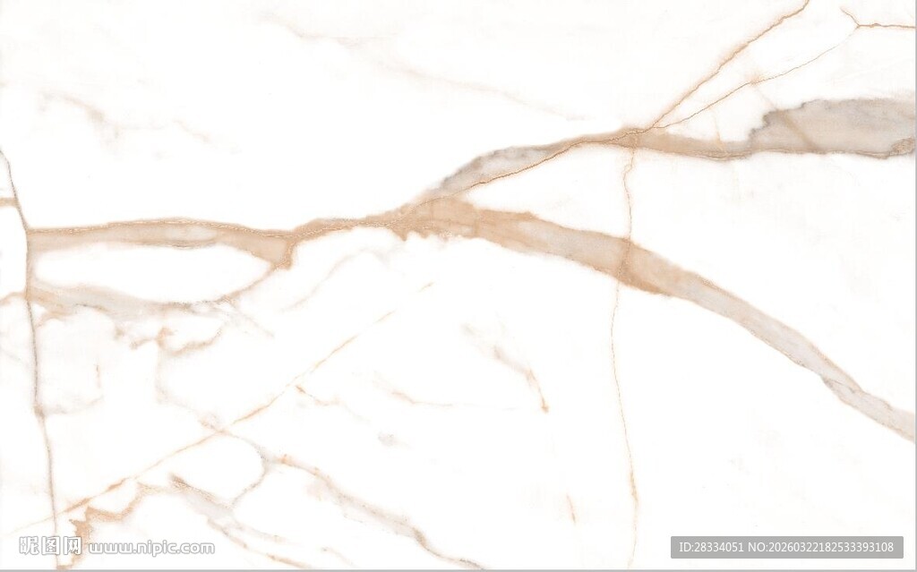 白色鱼肚金大理石石纹