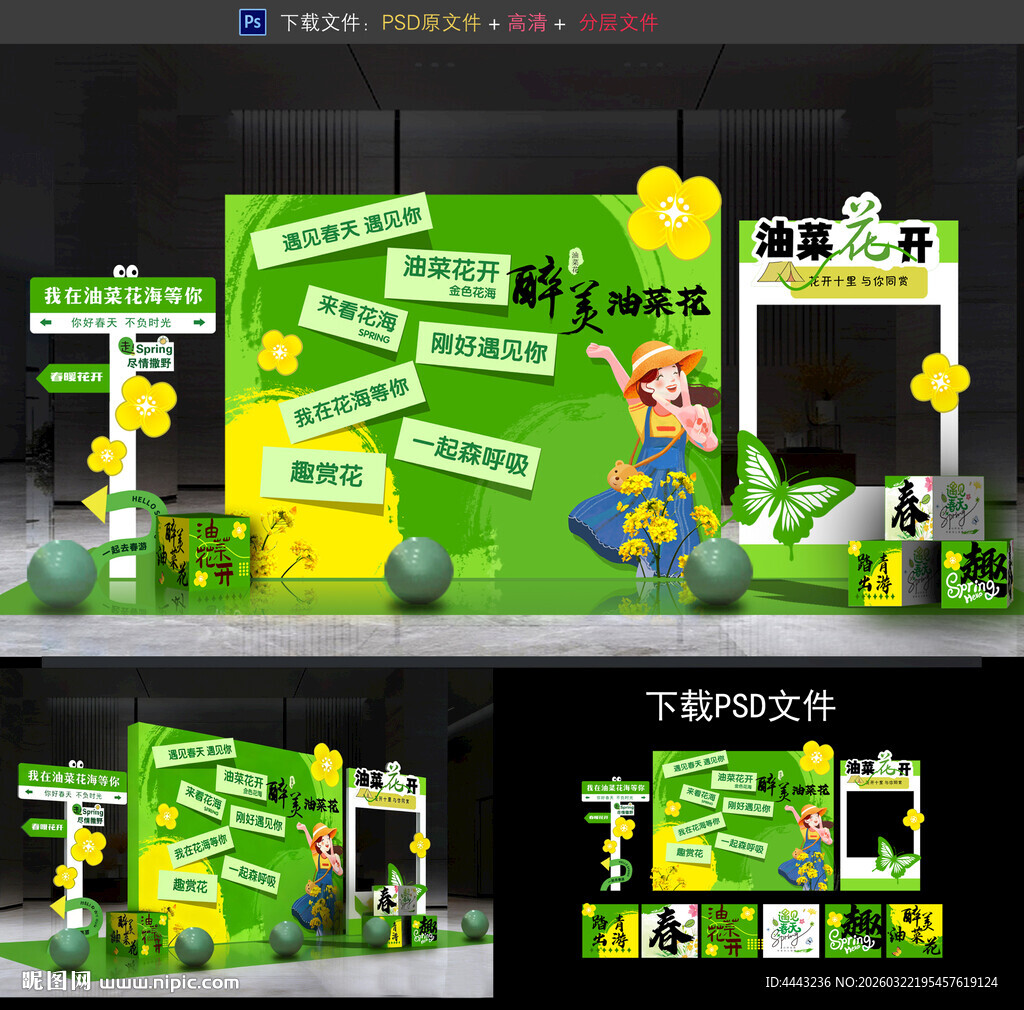 油菜花节 油菜花背景 油菜花舞