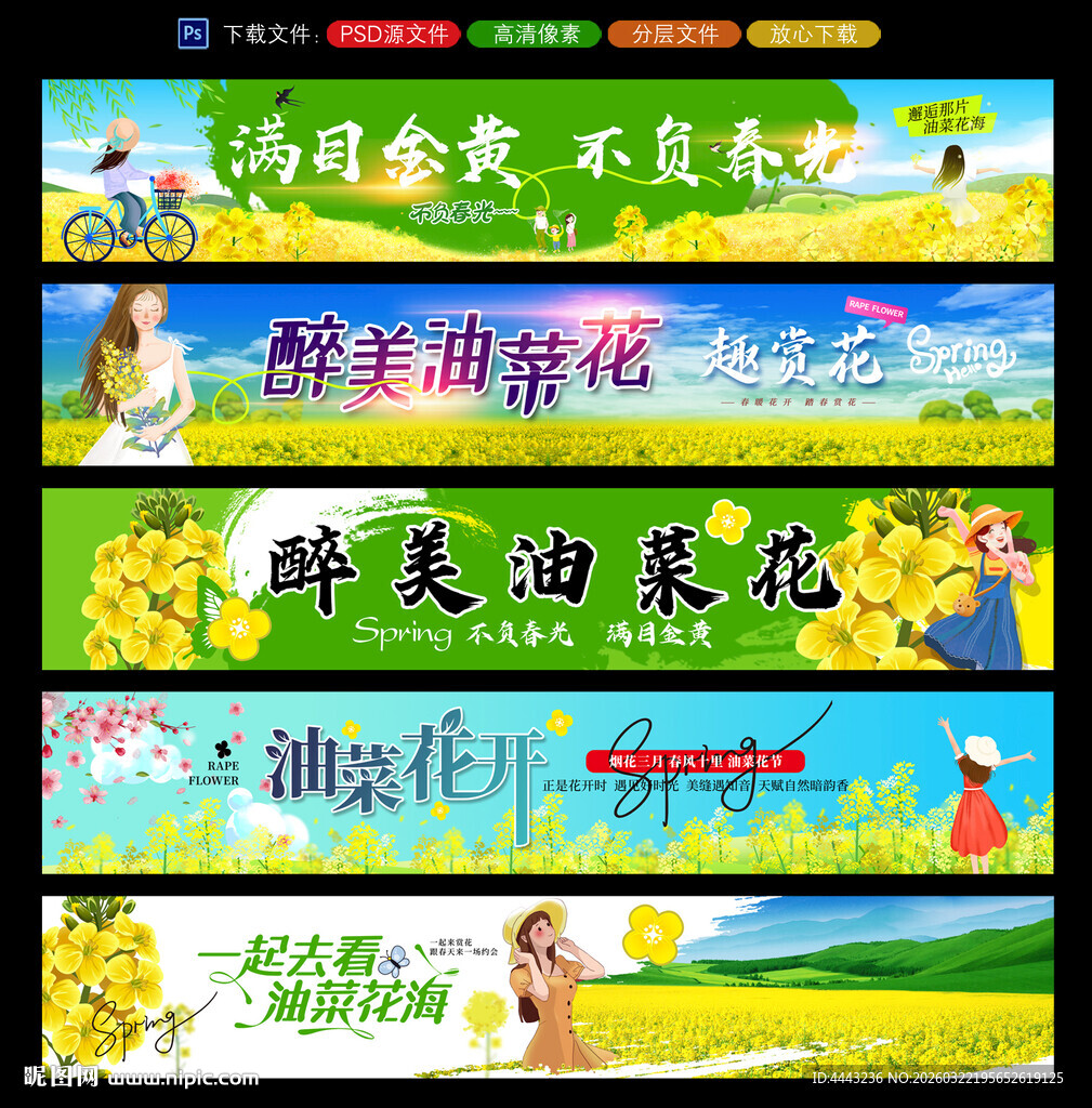 油菜花节条幅