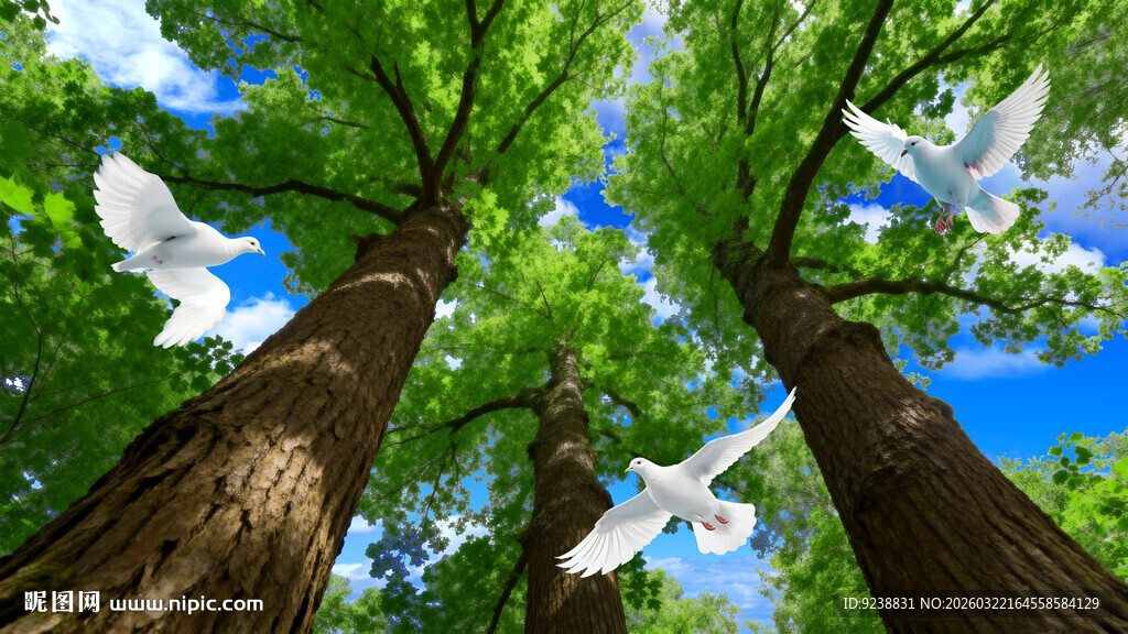 蓝天白云参天大树