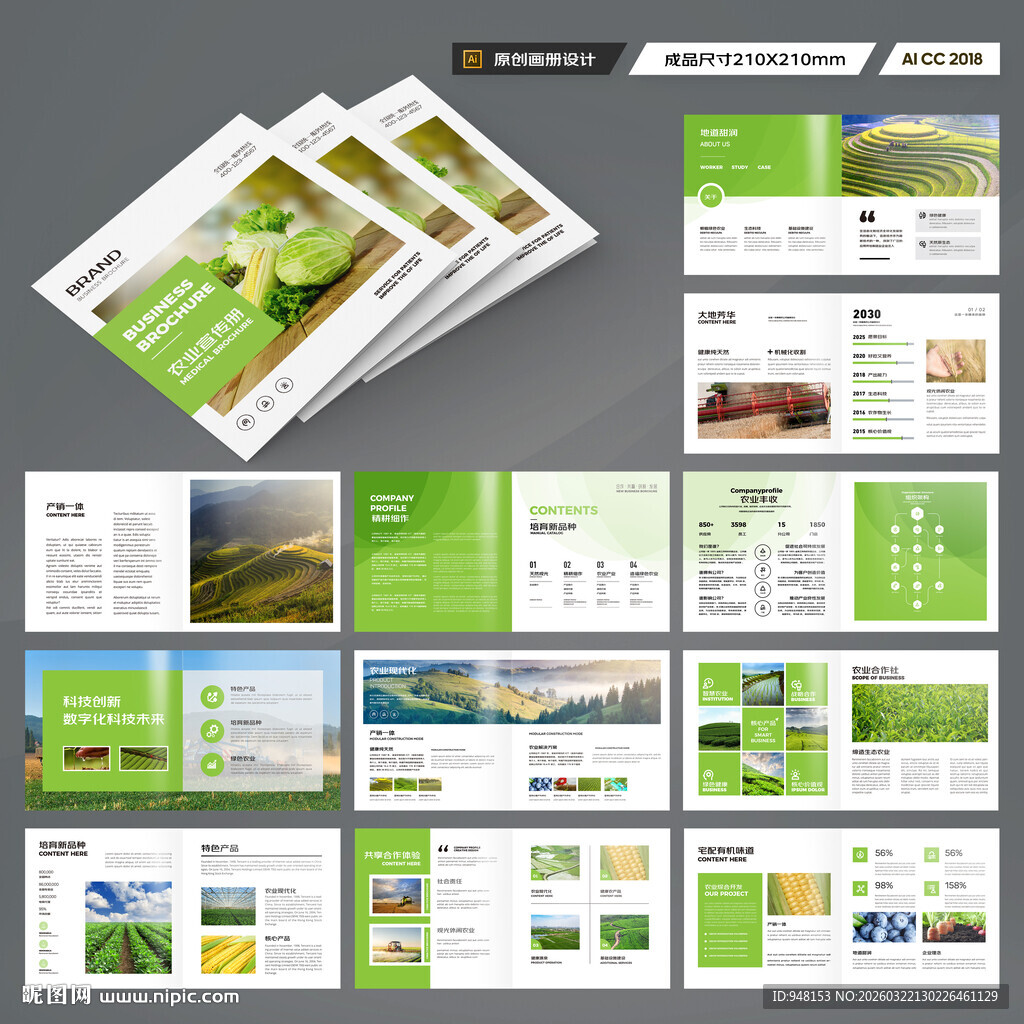 方形农产品宣传册