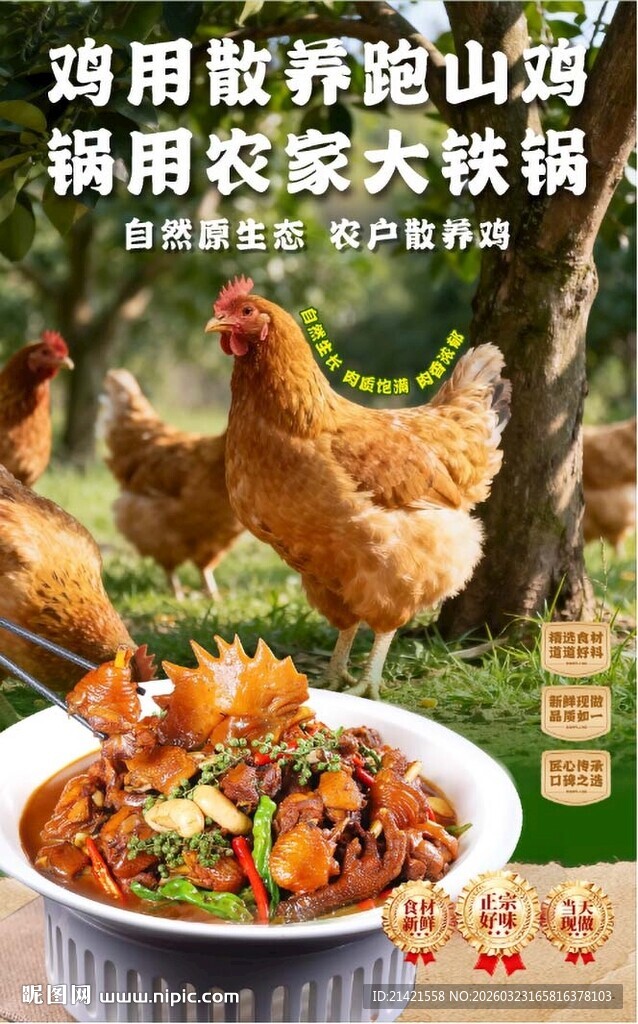 散养土鸡炖出美味农家菜