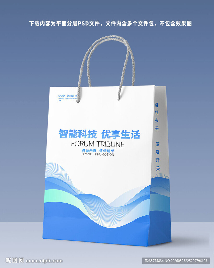 蓝色商务大气企业手提袋设计