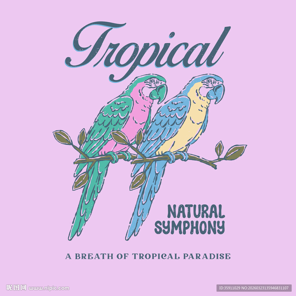 热带鹦鹉插画
