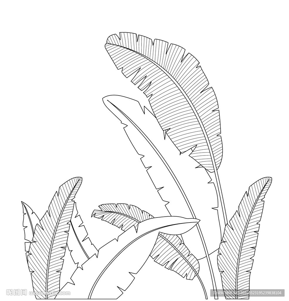 手绘植物叶片线条图 矢量图