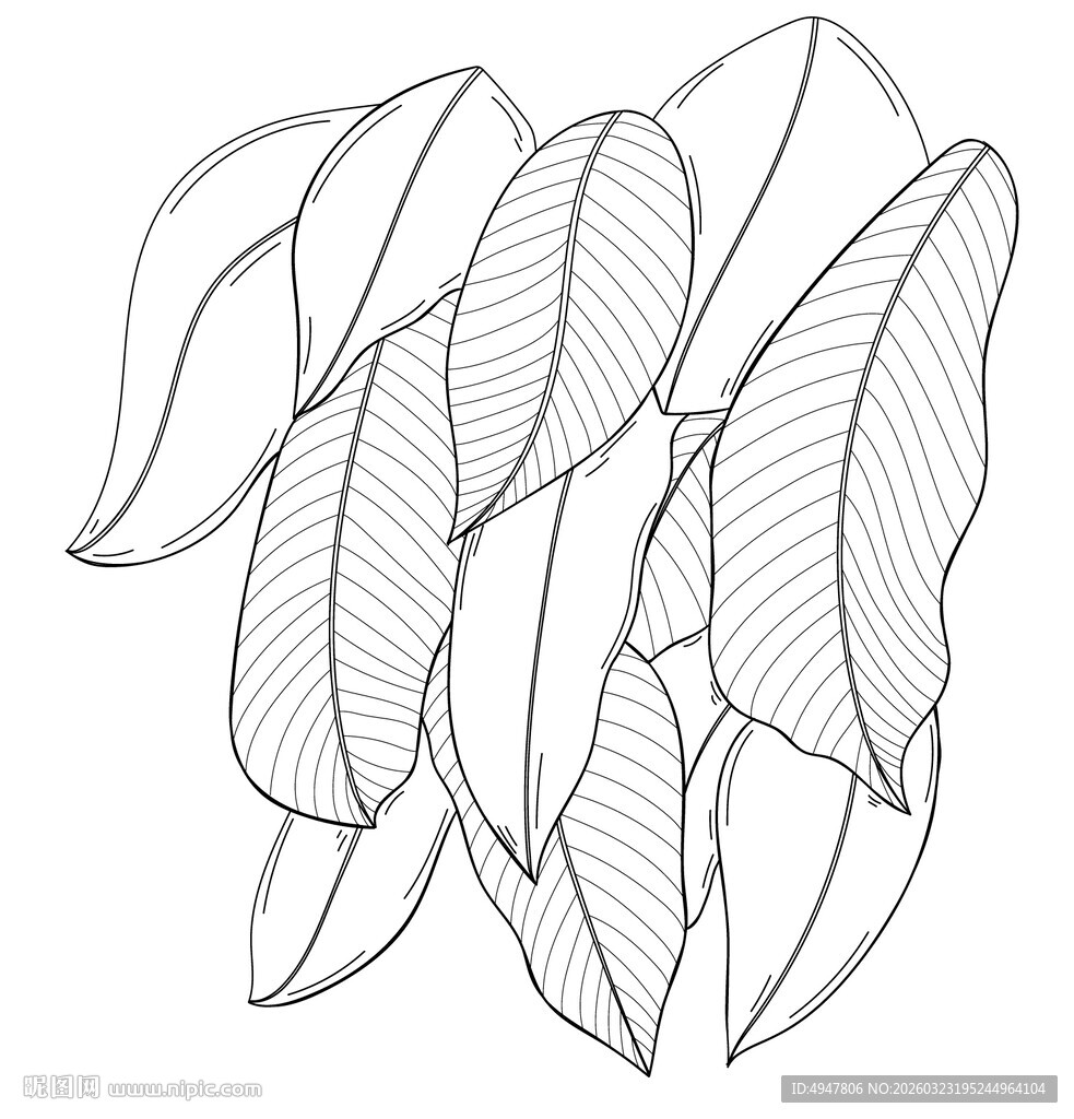 手绘叶片线条图案 矢量图