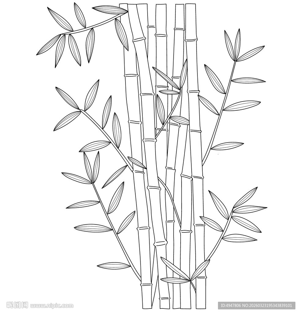 手绘简约风竹子线条图 矢量图