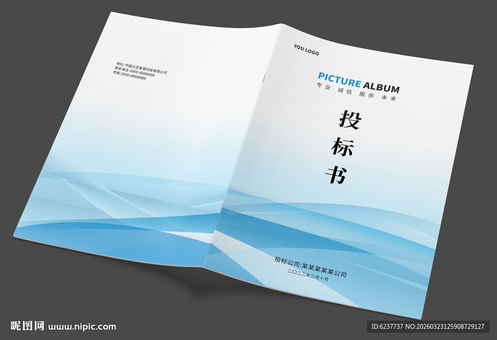 投标书画册封面