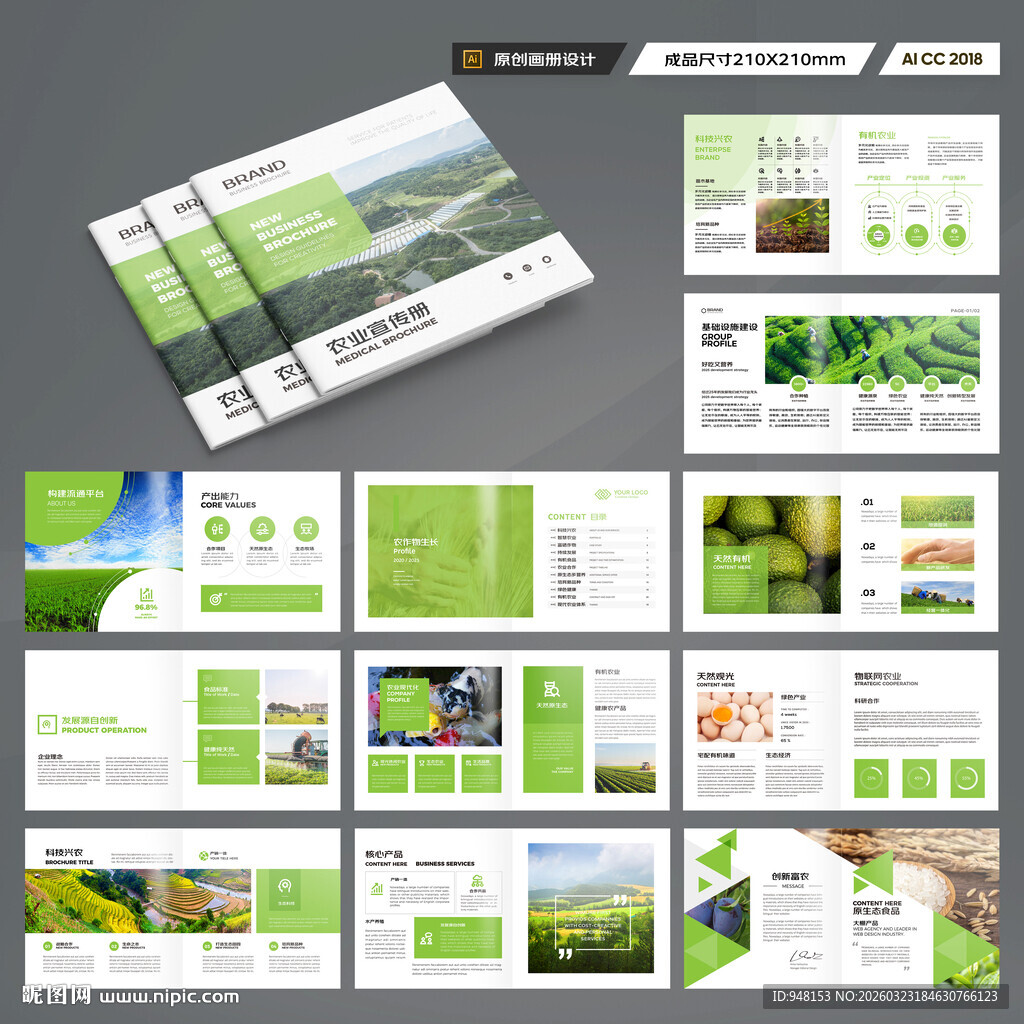 方形农产品宣传册