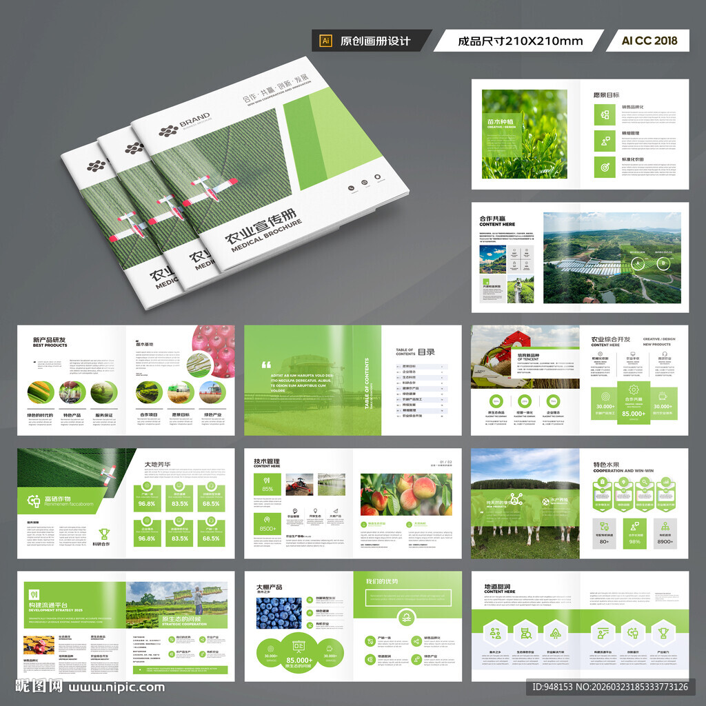 方形农产品画册