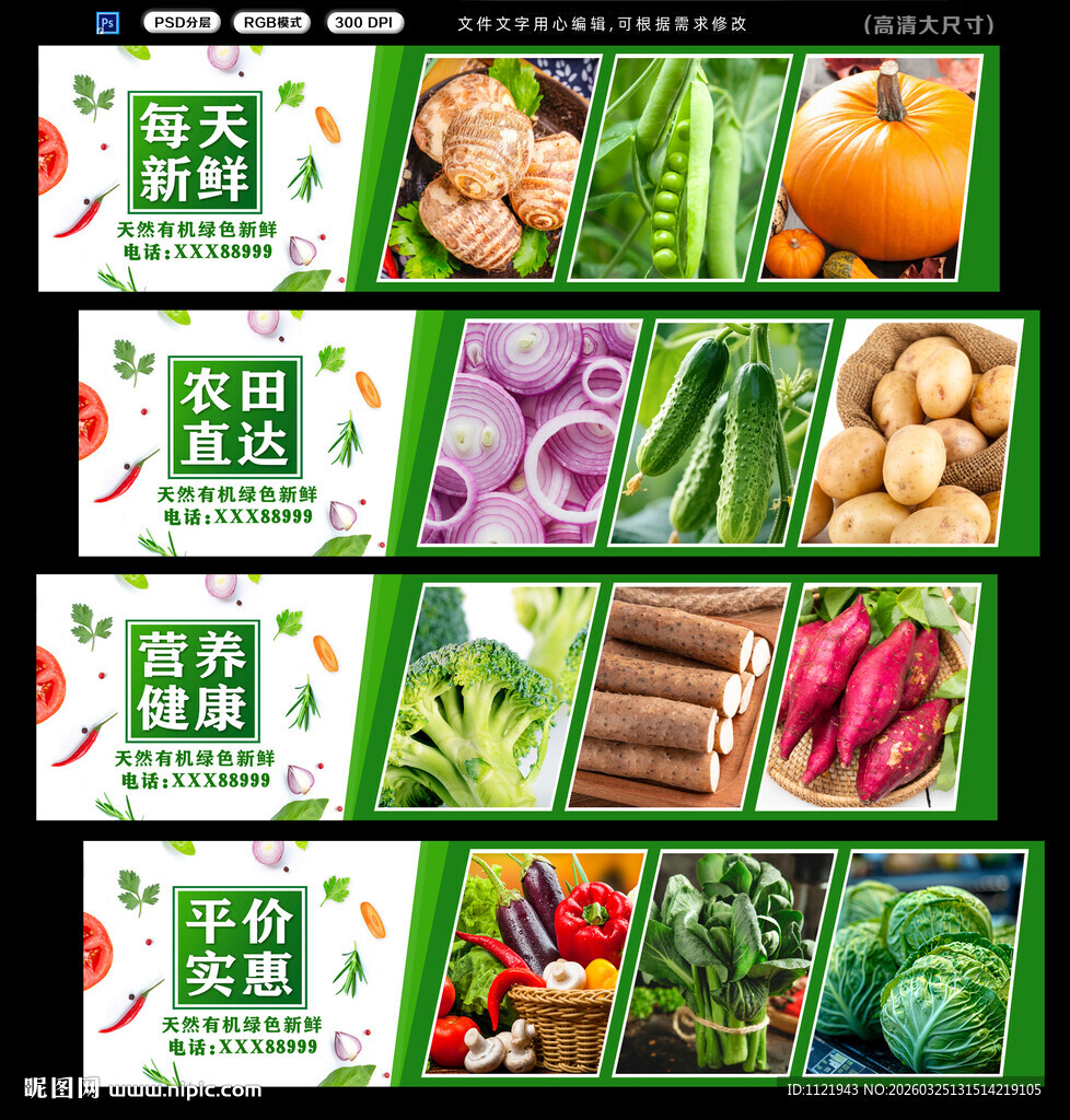 多样新鲜蔬菜展示