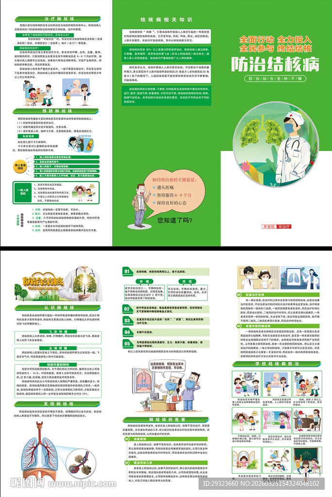 结核病防治三折页