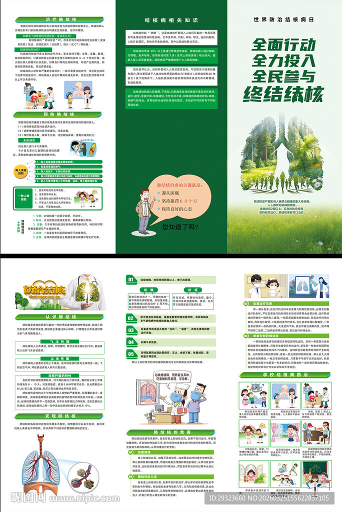 防治结核病日三折页