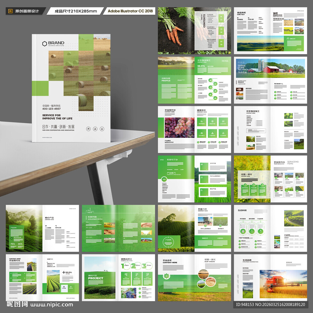 农业合作社画册