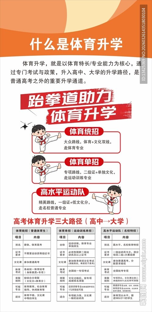 跆拳道 体育升学 海报